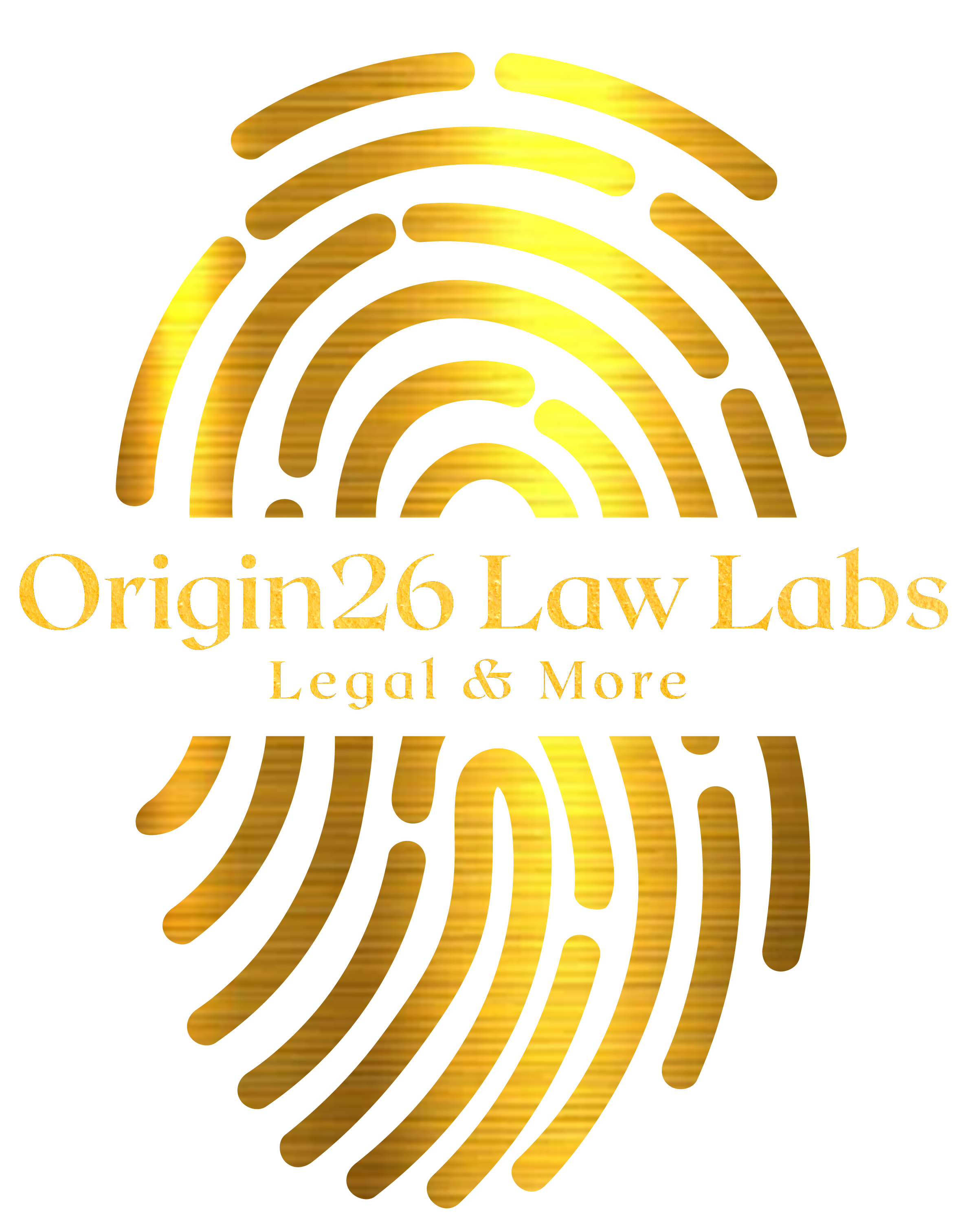  MUCH LAW BUT LITTLE JUSTICE ORIGIN26 LAW LABS