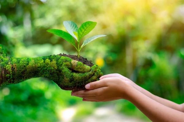 FUNDAMENTAL DUTY OF PRESERVING THE NATURAL ENVIRONMENT